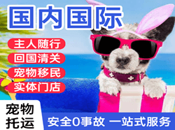 包头机场空运国际宠物托运 【国